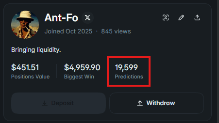 Polymarket profile Ant-Fo showing 19,599 predictions with positions value $451.51